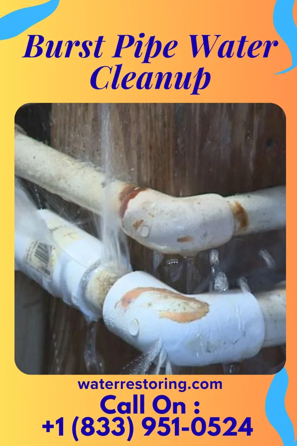 Burst Pipe Water Cleanup in Canton, SD