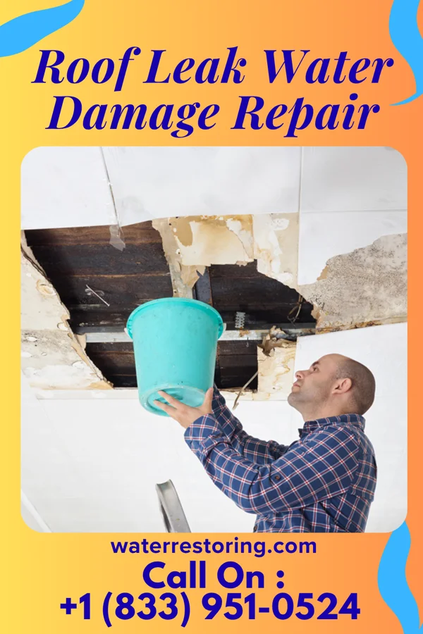 Roof Leak Water Damage Repair in Canton, SD