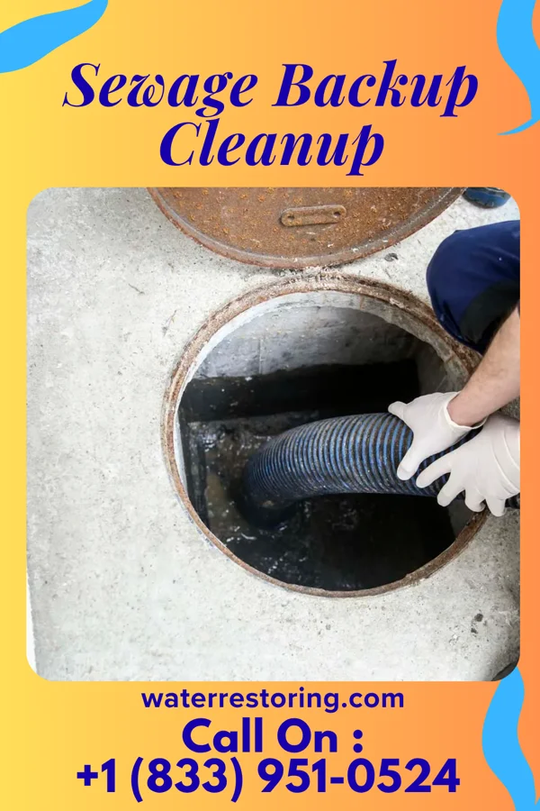 Sewage Backup Cleanup in Canton, SD